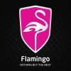 Flamingo Car Tech