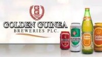 Golden Guinea Breweries Plc