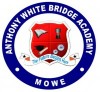 ANTHONY WHITE BRIDGE ACADEMY