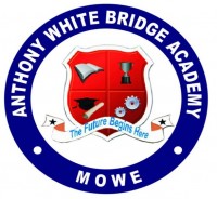 ANTHONY WHITE BRIDGE ACADEMY